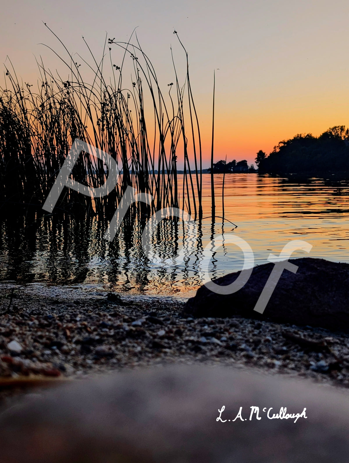 Rocks, Reed, and Dusk at Stoney Lake