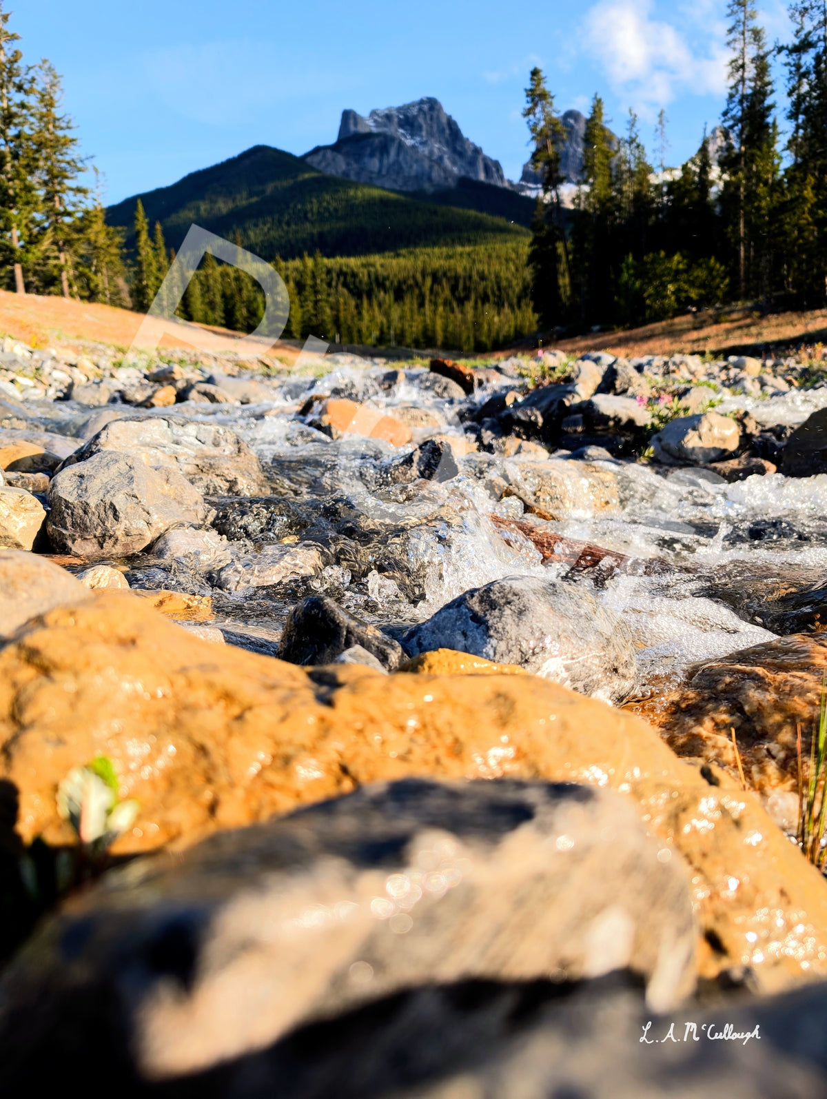 Stream and Three Sisters in Canmore