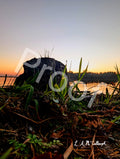 Grassy Stump at Stoney Lake