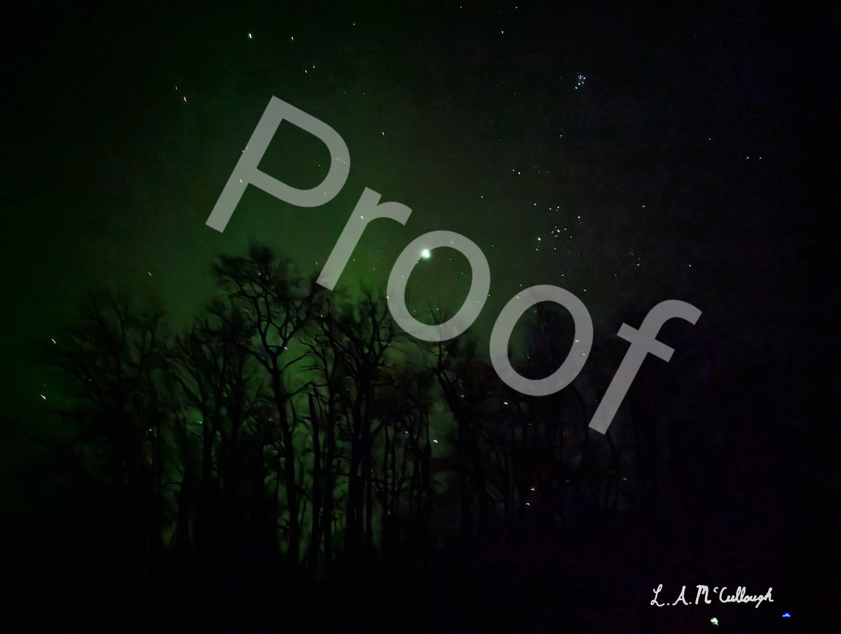 Starry Northern Lights and Trees