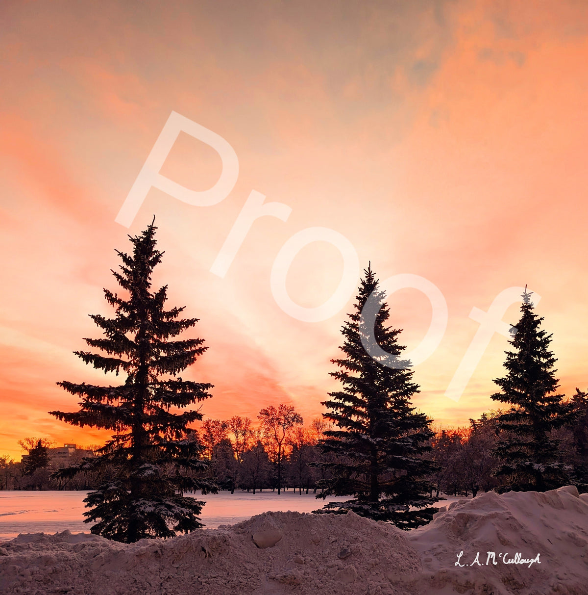 December Dawn at Kinsmen Park