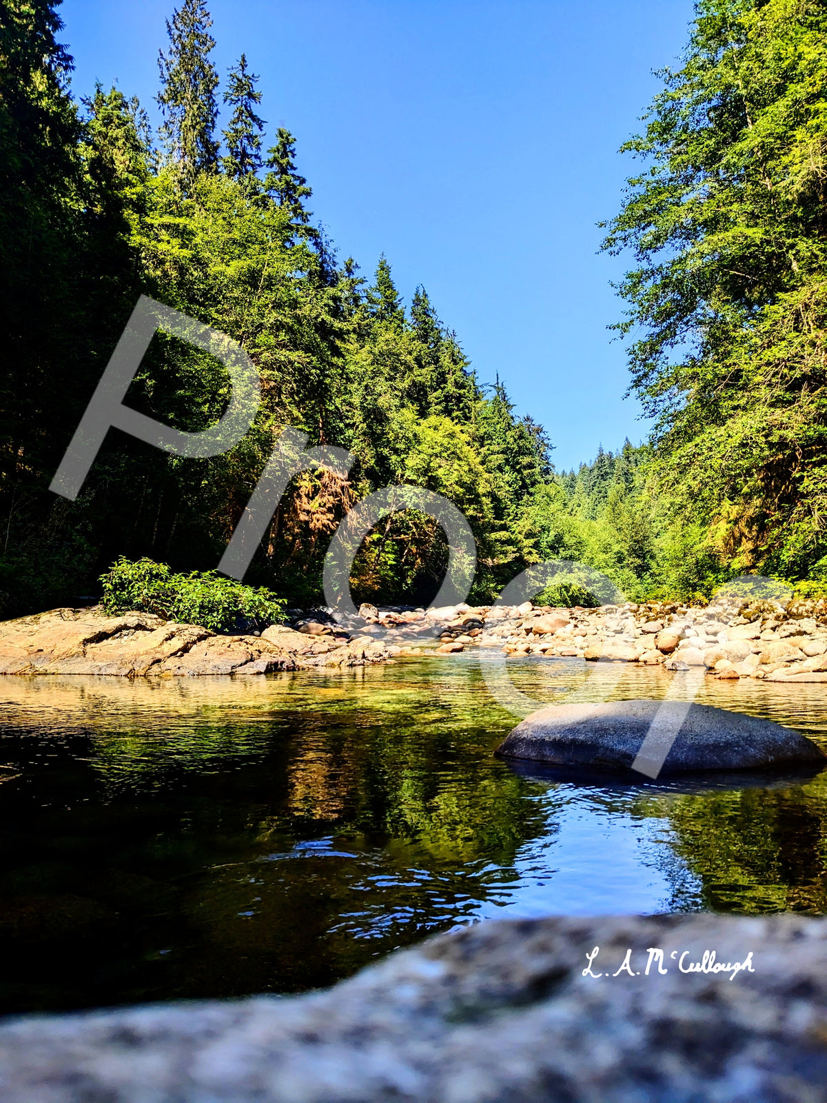 Lynn Canyon Trail