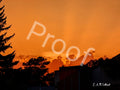 Orange Saskatoon Sunset