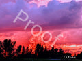 Pink and Purple Sunset Saskatoon