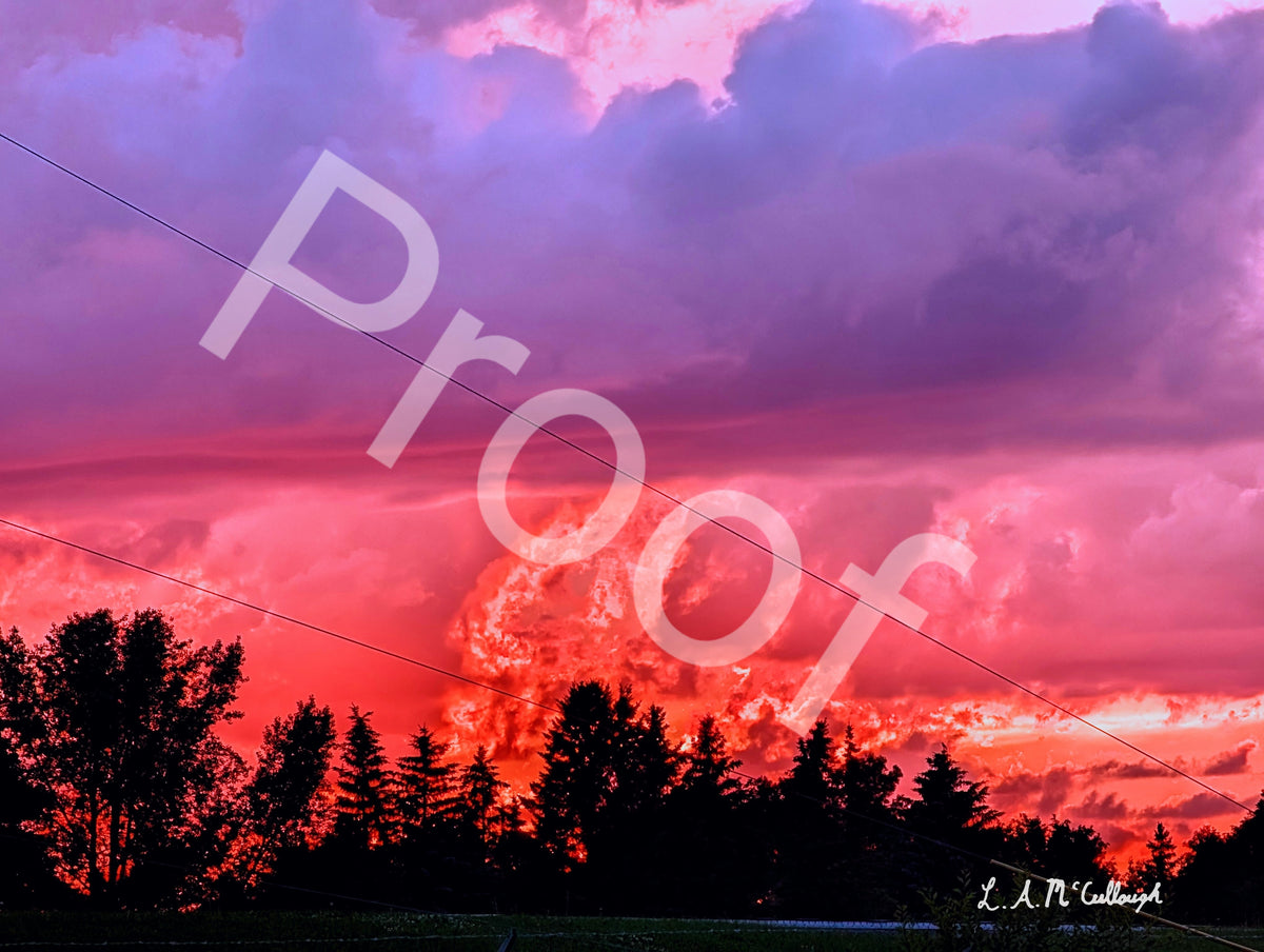 Pink and Purple Sunset Saskatoon
